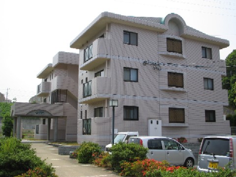 Large Image