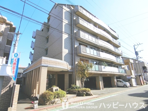 Large Image