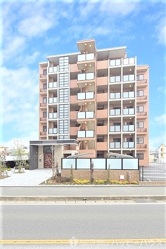 Large Image