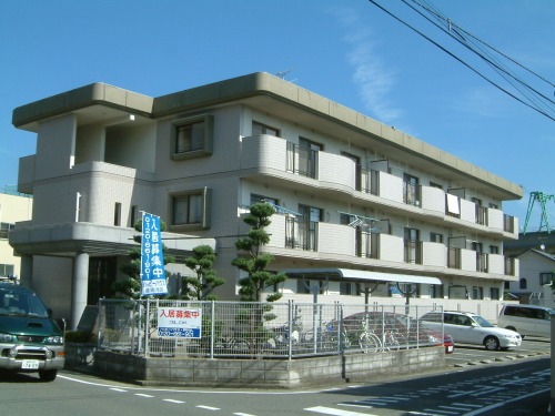 Large Image