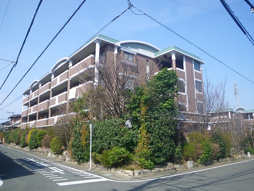 Large Image