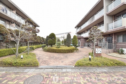 ステラ２３