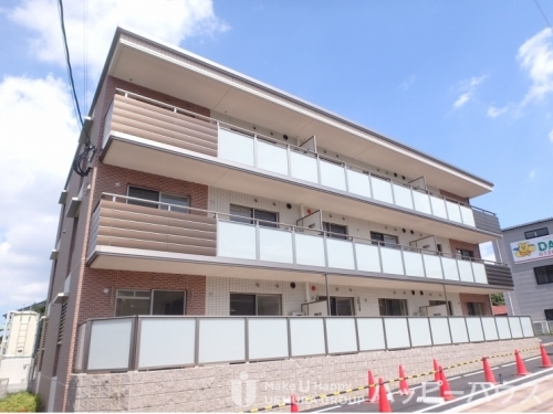 プルヌス コリーヌ