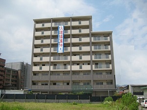 Large Image
