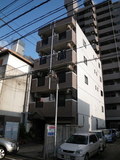 Large Image