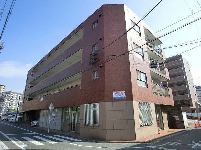 Large Image