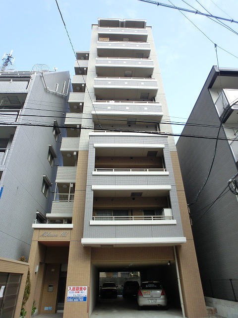 Large Image