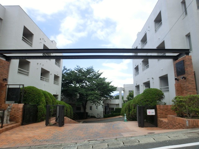 Large Image