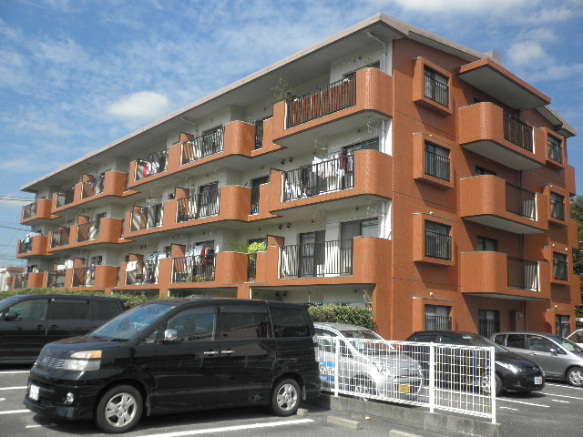 Large Image