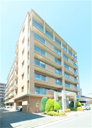 Large Image