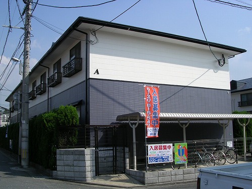 Large Image