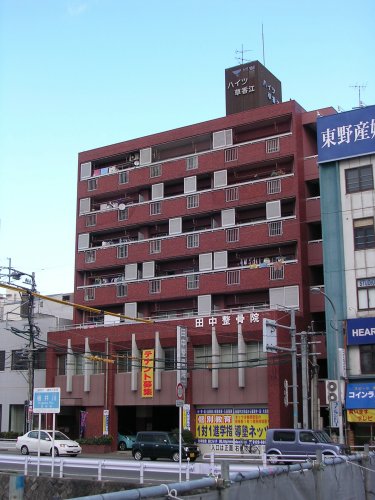 Large Image