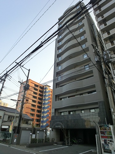 Large Image