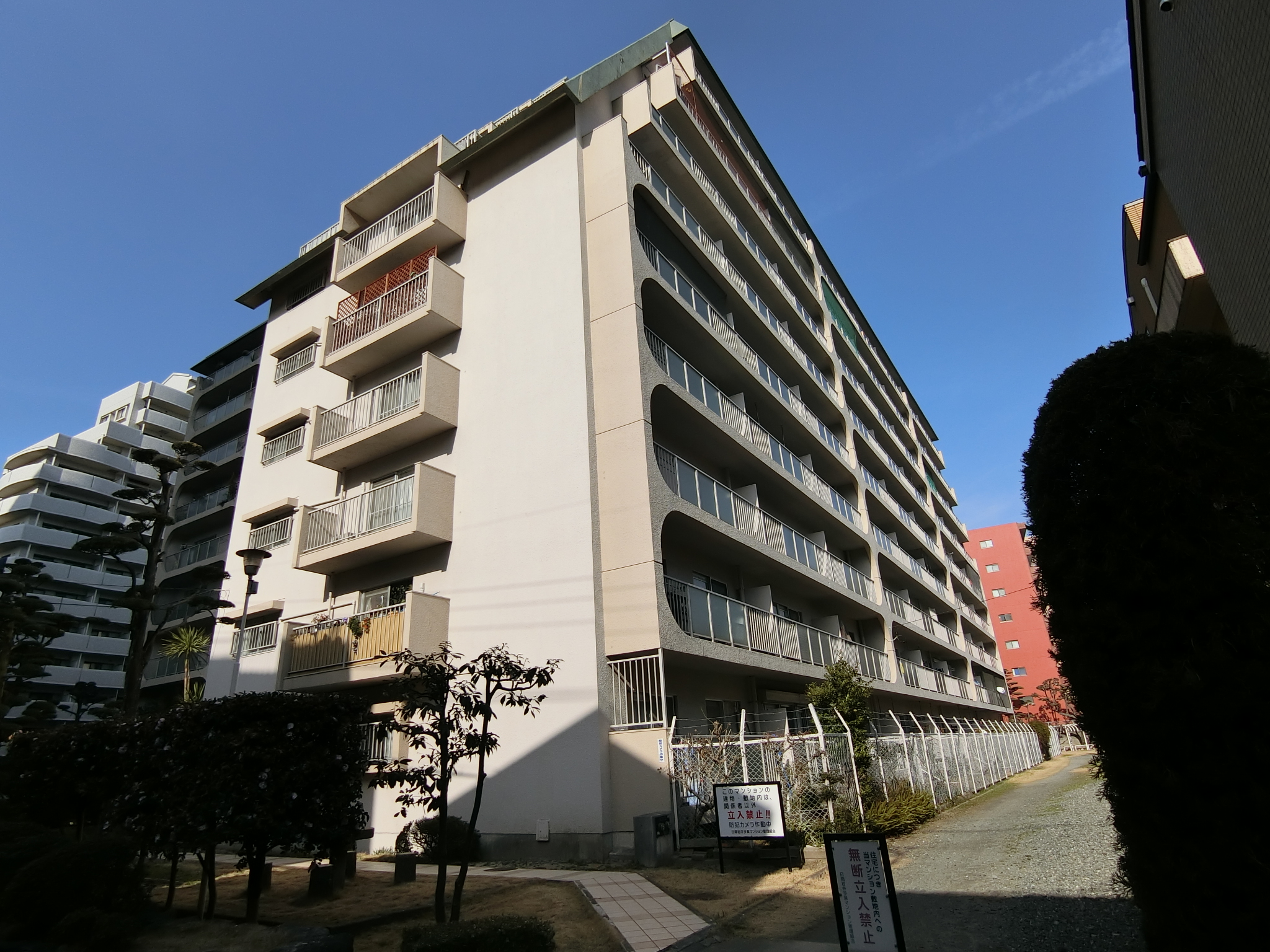 Large Image